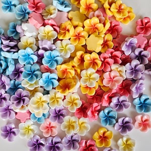 10/30 Pcs  Mixed Color Flower Plumeria Resin Flatback Cabochon  25mm #CAB165